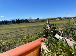 Appartement 2 pièces 4 couchages ARGELES SUR MER AR320-010